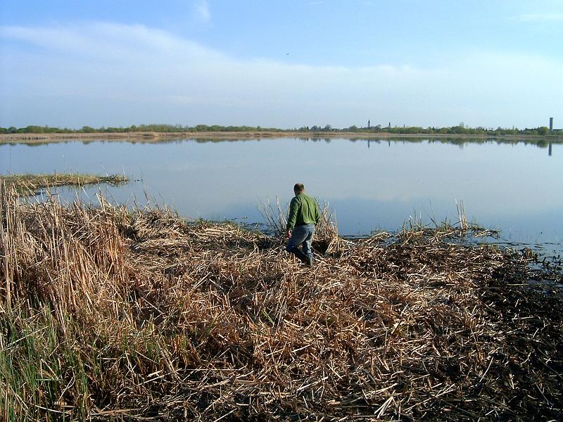 20110413 005.jpg